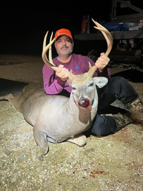 Deer
