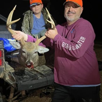 Deer